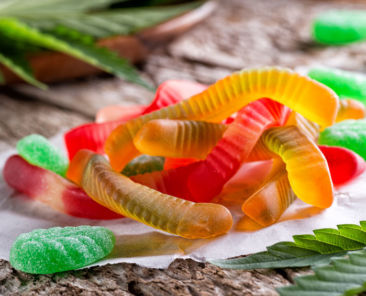 Cannabis infused gummy candy on a rustic table top with marijuana leaves.